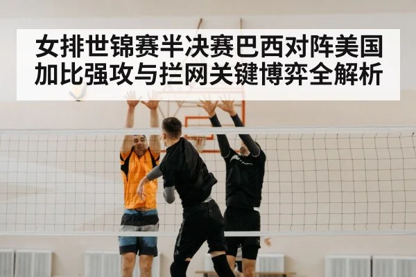 volleyball block net